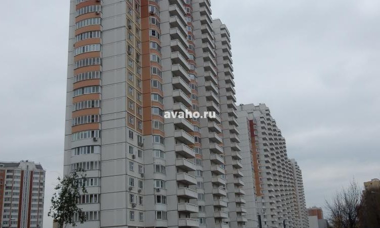 ЖК Мичурино