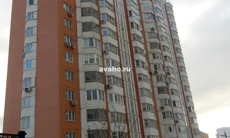 ЖК Мичурино