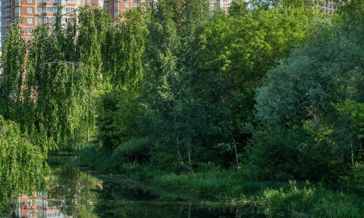 ЖК на Ленинском проспекте