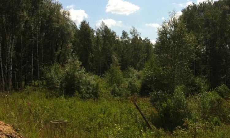 ЖК Патио Парк