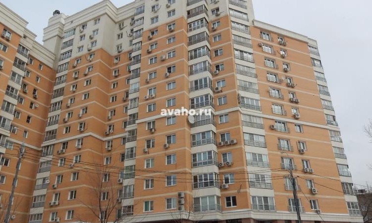 ЖК Соколиная гора (на проспекте Буденного)