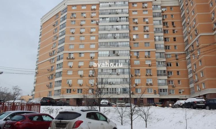 ЖК Соколиная гора (на проспекте Буденного)
