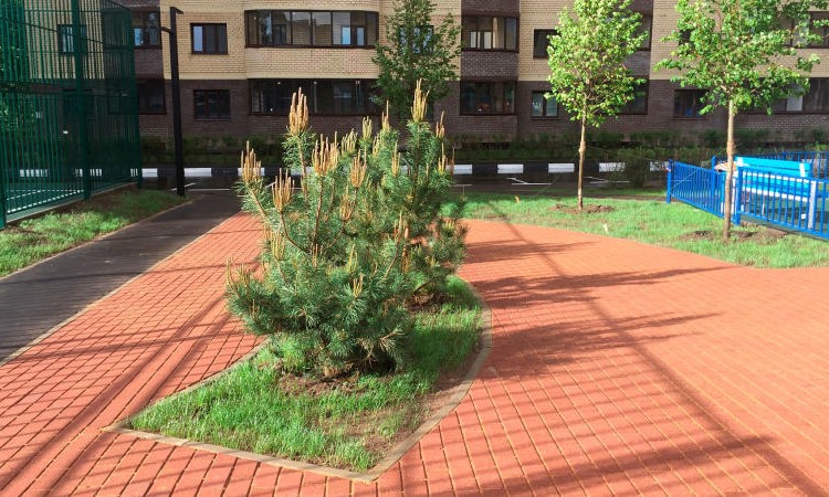 ЖК Центральный