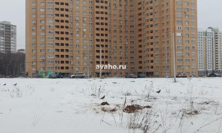ЖК Эко Видное