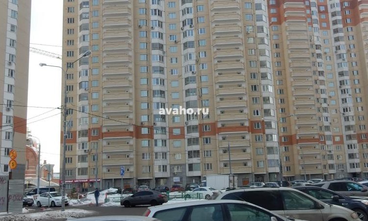 Микрорайон Прибрежный (Павшинская пойма)