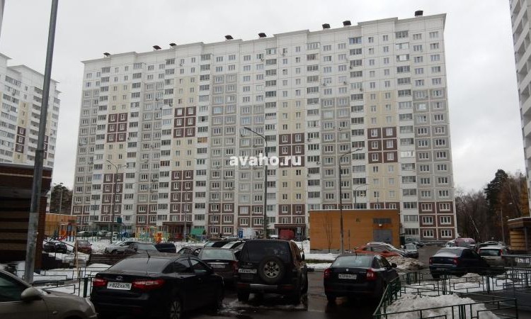 Микрорайон Северное Кучино