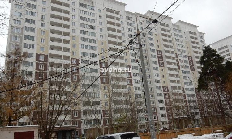 Микрорайон Северное Кучино