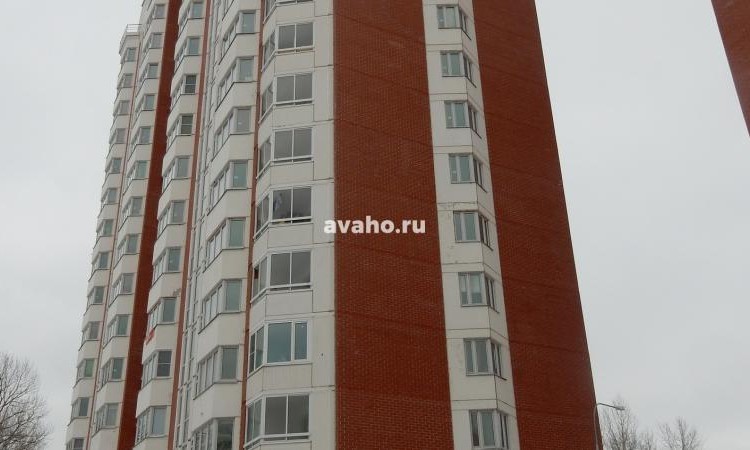 Микрорайон Южное Кучино 2