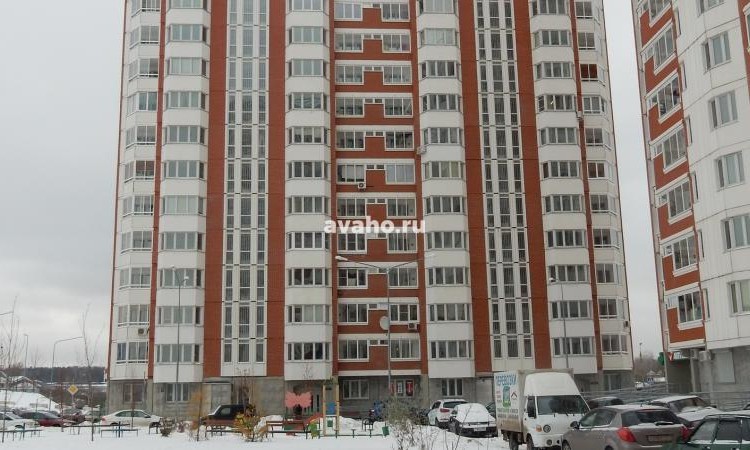 Микрорайон Южное Кучино 2