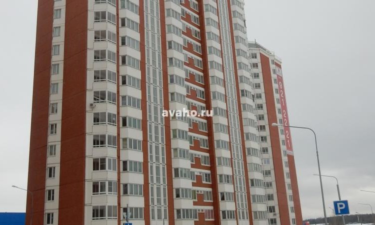 Микрорайон Южное Кучино 2