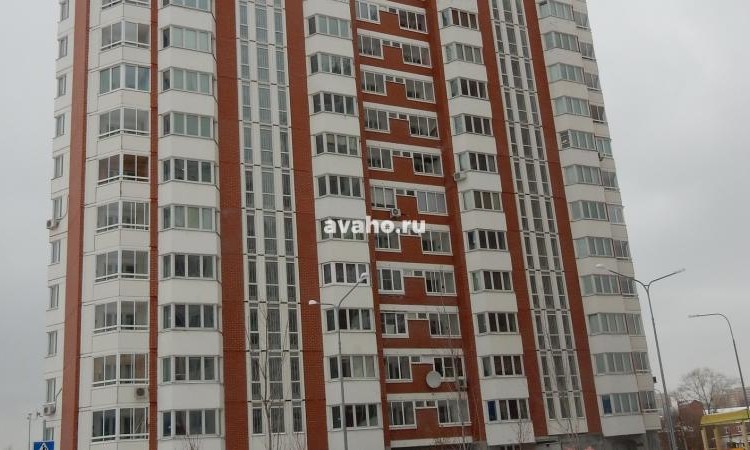 Микрорайон Южное Кучино 2
