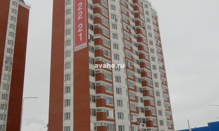 Микрорайон Южное Кучино 2