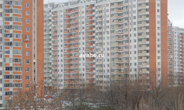 Микрорайон Южное Кучино