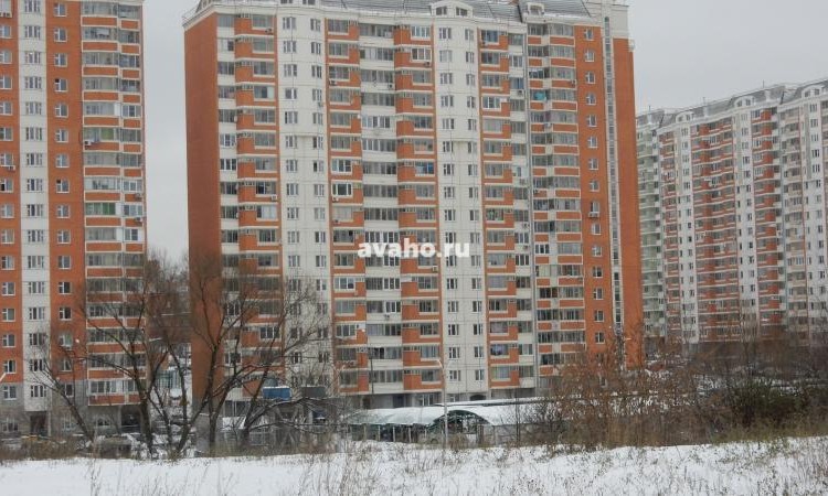 Микрорайон Южное Кучино
