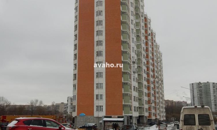 Микрорайон Южное Кучино