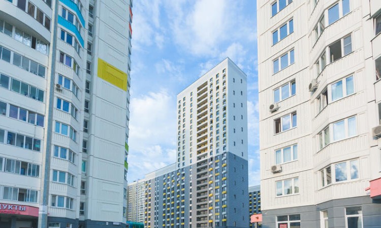 Район Новокуркино