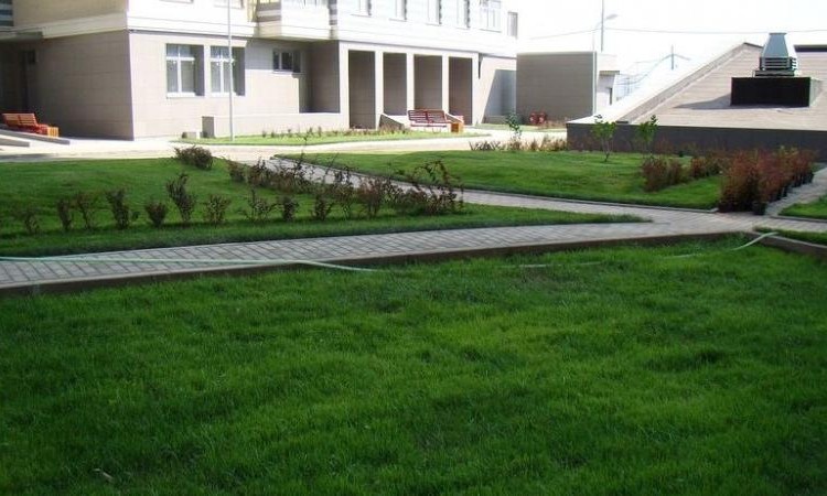 ЖК LIFE-Лазаревское