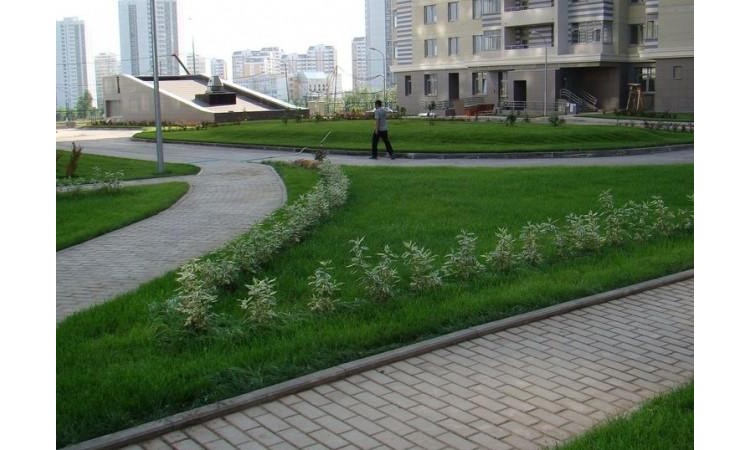 ЖК LIFE-Лазаревское