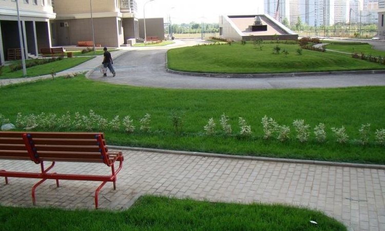 ЖК LIFE-Лазаревское