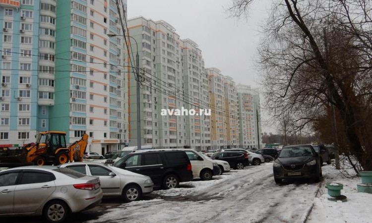 ЖК Большое Кусково