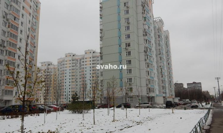 ЖК Большое Кусково