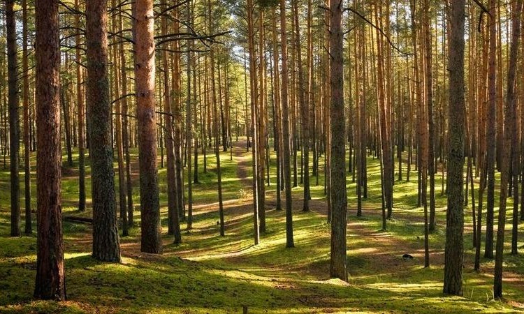 ЖК Малаховский квартал