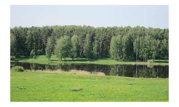 Aqua Forest (Аква Форест)