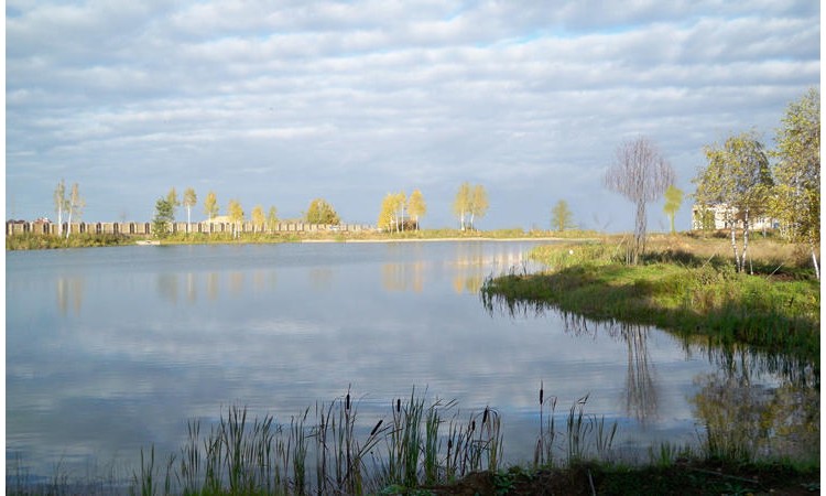 Berestovo Club (Берестово Клаб)
