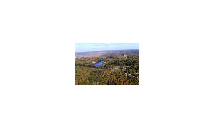 Forest Lake Club (Форест Лейк Клаб)