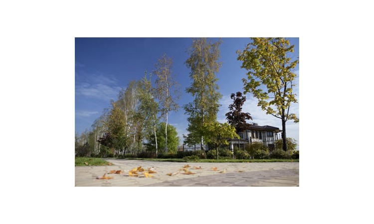 Millennium Park (Миллениум Парк)