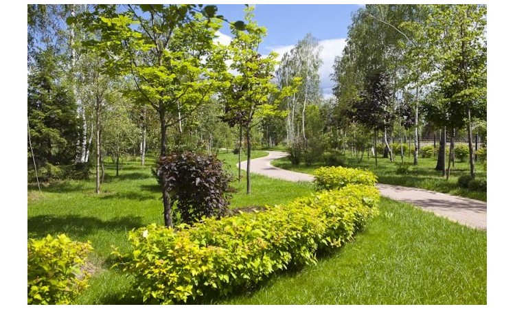 Millennium Park (Миллениум Парк)