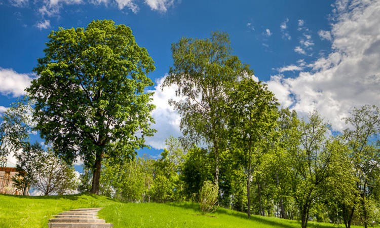 Monteville (Монтевилль)