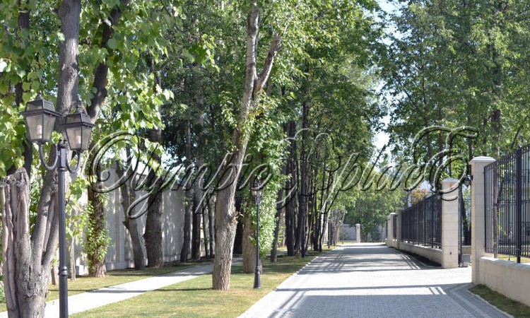 Olympic place (Олимпик плейс)