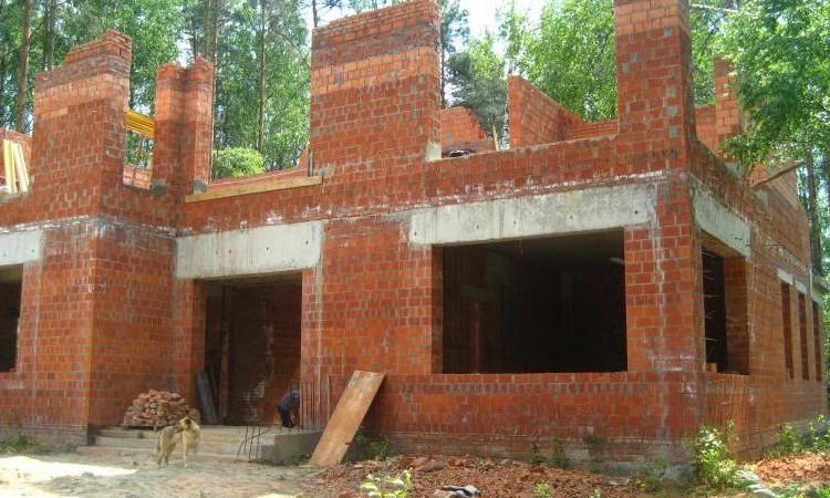 Papillon (Папиллон)