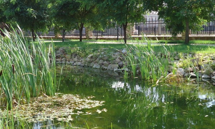ParkVille Жуковка (ПаркВилль Жуковка)