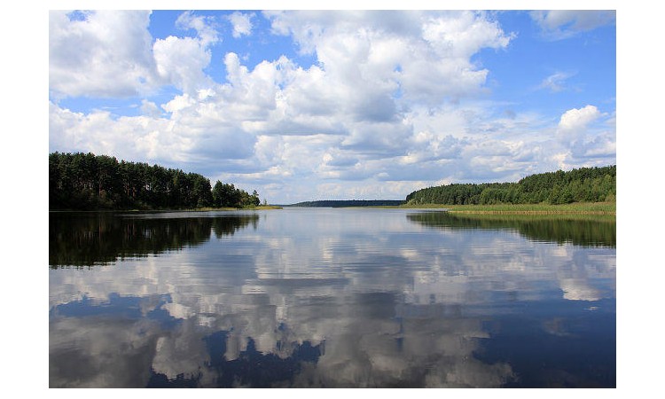Ruza Resort (Руза Резорт)