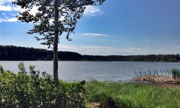 Ruza Resort (Руза Резорт)