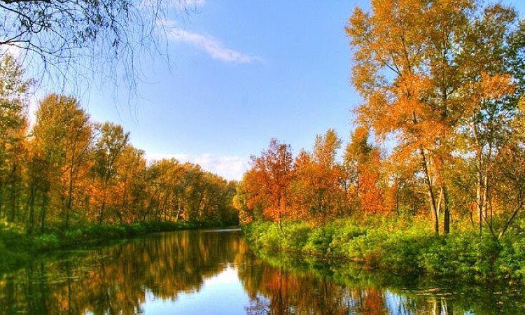 Ruza Resort (Руза Резорт)