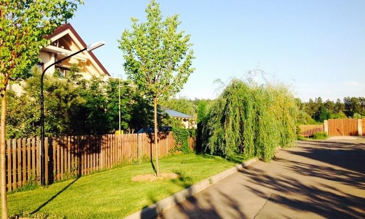 Vitro Country (Витро Кантри)