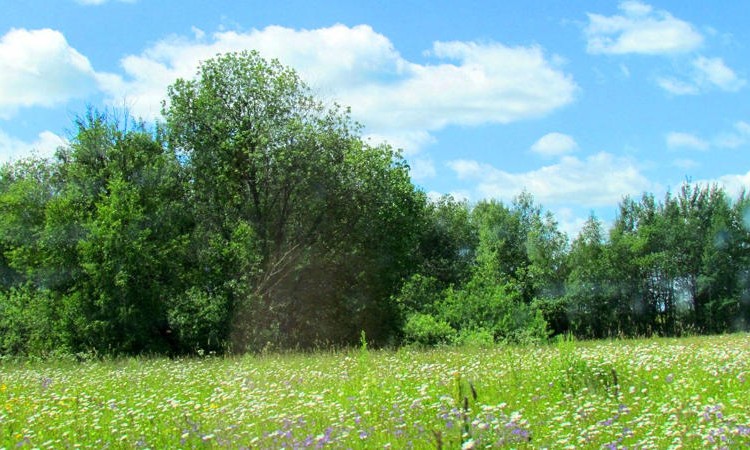 Volna (Волна)