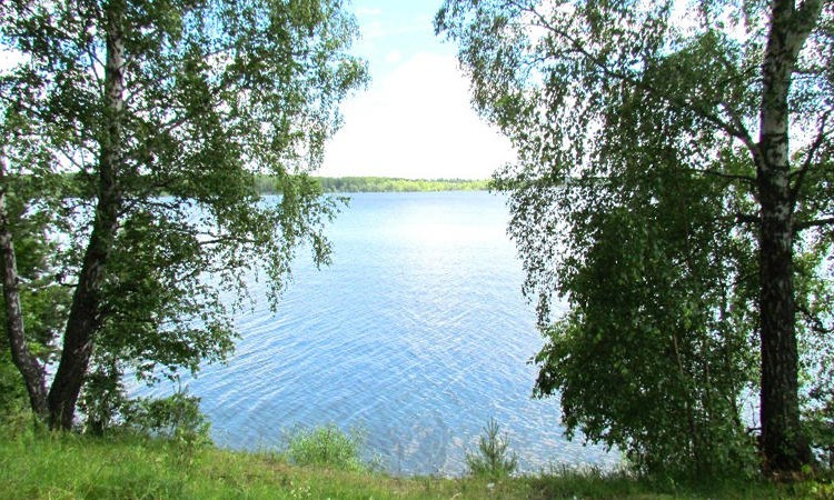 Volna (Волна)