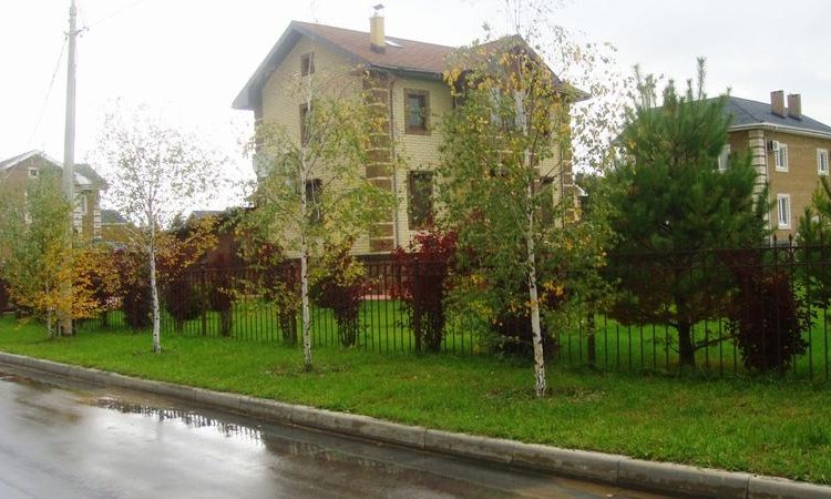 Аврора (Раменский район)