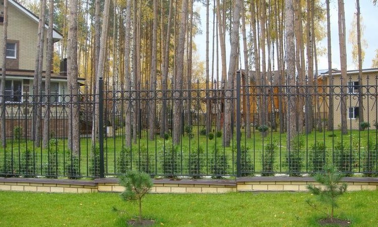 Аврора (Раменский район)