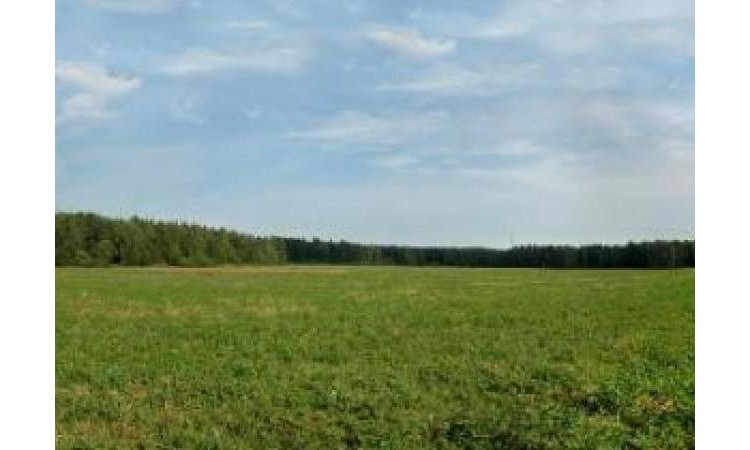 Александров посад