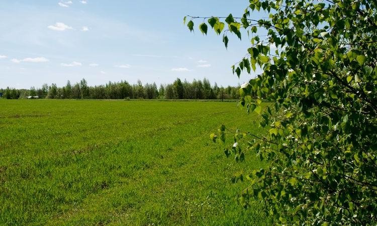 Александровка