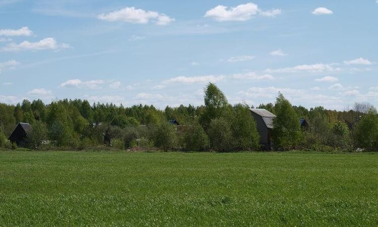 Александровка