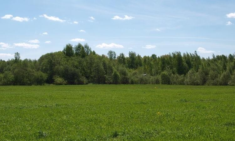 Александровка