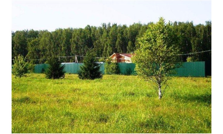 Алексеевка