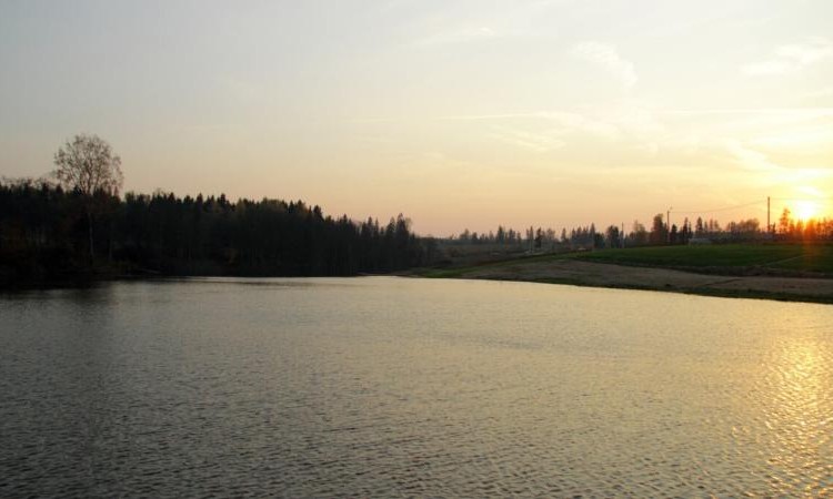 Алешкино 2