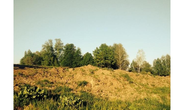Алино